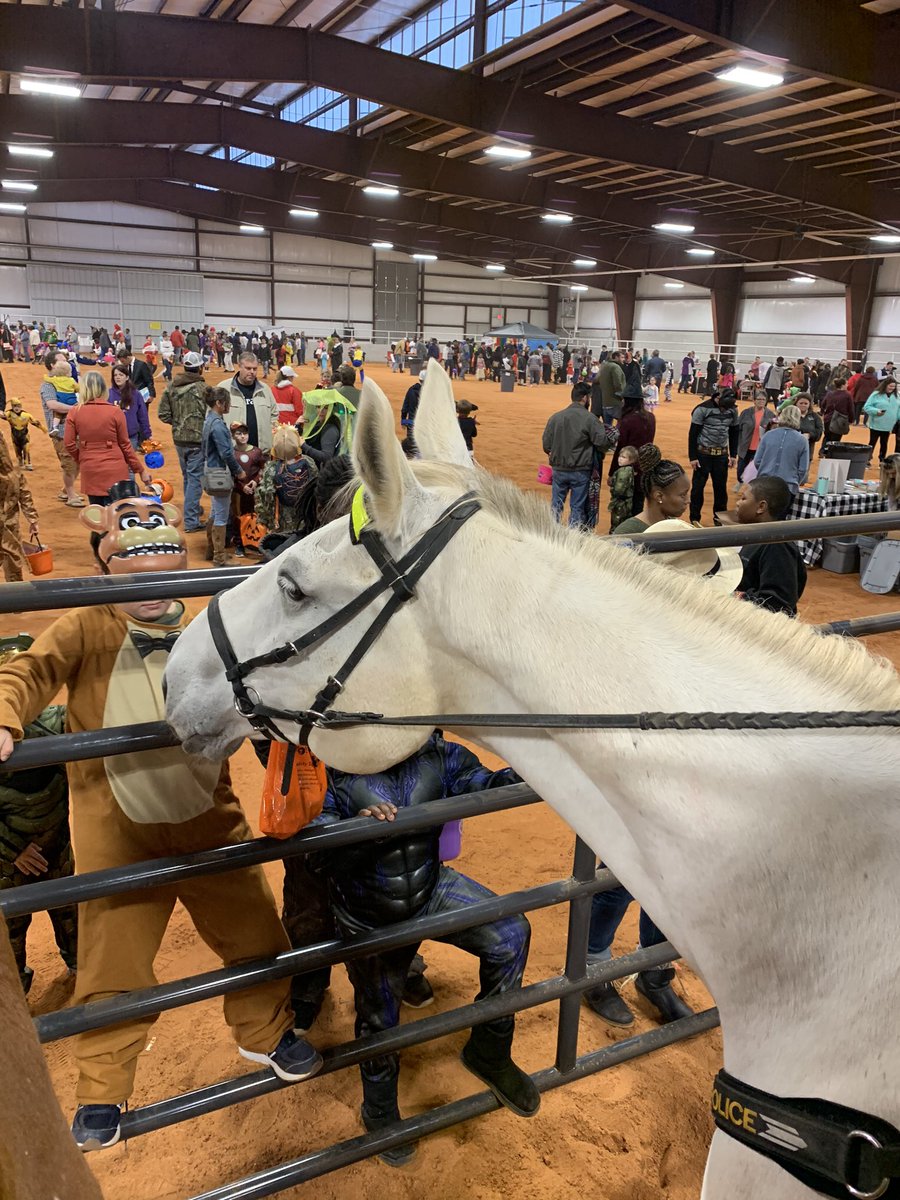 Ranger loves meeting new friends at the Lafayette County Arena. What a turn out!