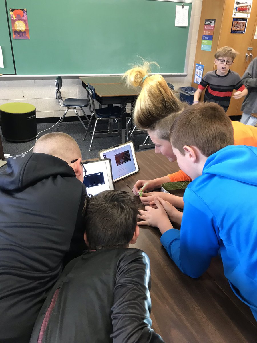 Lauren Hendricks tweet media