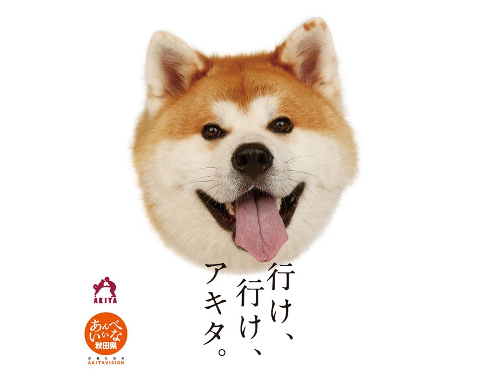あんべいいな秋田県 あんべいいな秋田県