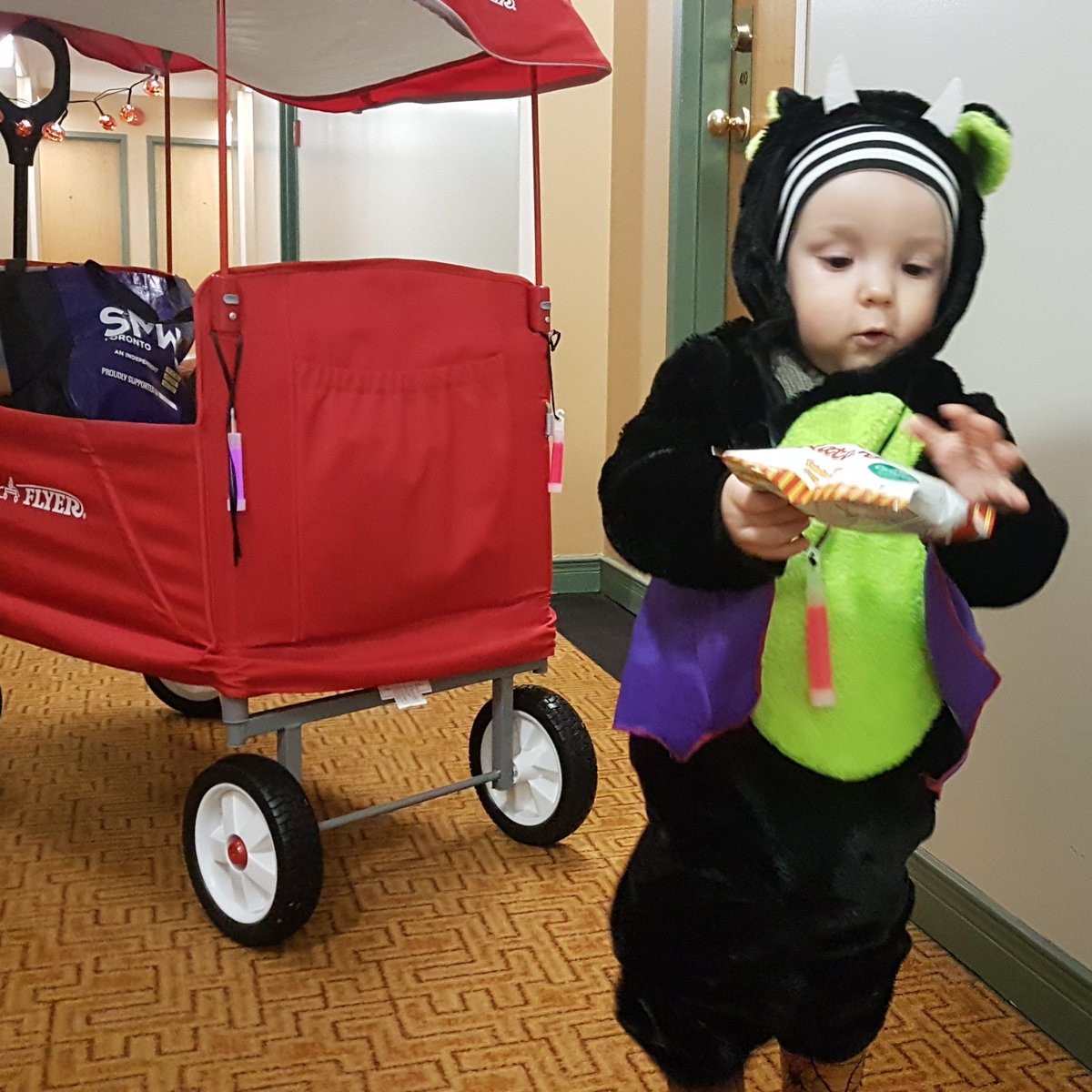 phjoshua's tweet image. Ollie had his first real Halloween tonight and crushed it. We did a couple neighbourhood streets and pointed at lots of jack o'lanterns and lights and got spoiled. This little dude is the best. #halloween #candy #thisdaddylife