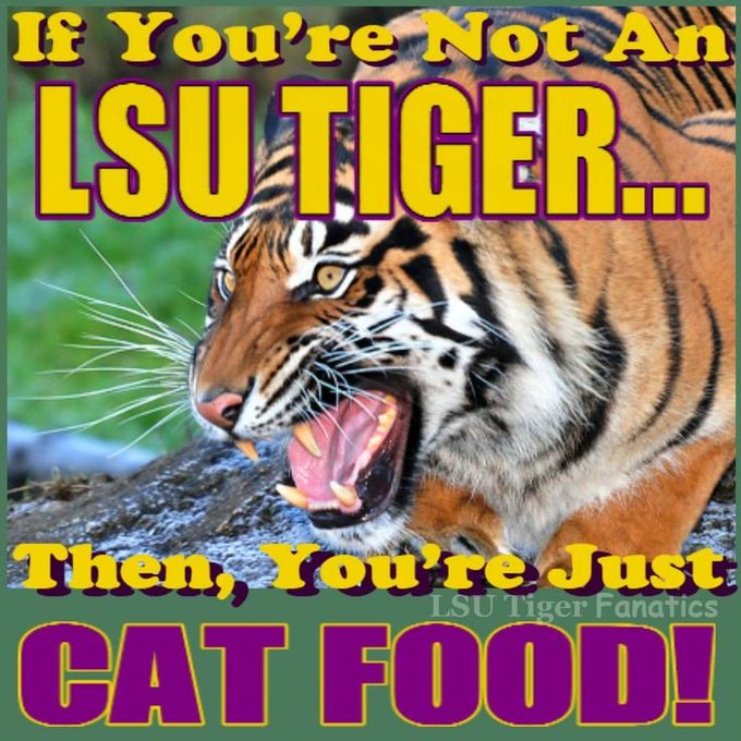Somehow? It's called talent...is this the first LSU game you have watched the season? https://t.co/X<a href="/tag/beforeifallasleep"class="tags"><span>#beforeifallasleep</span></a>