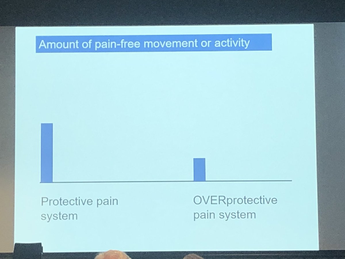 TassieObGyn's tweet photo. #AGESpelvicfloor19 @AGES_Society 

‘The purpose of pain is protection from tissue damage not detection’ 

Fantastic presentation from Lorimer Moseley from @PainRevolution @tamethebeast 

This is a MUST review for anyone working with women with pelvic pain ⭐️⭐️⭐️ https://t.co/9xXxw6pF46