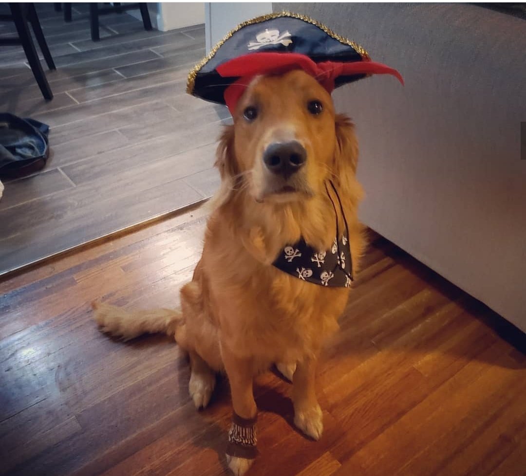 NICK_CHRISTIAN_'s tweet photo. #HappyHalloween #HandmeDowns https://t.co/eKeRurd19D