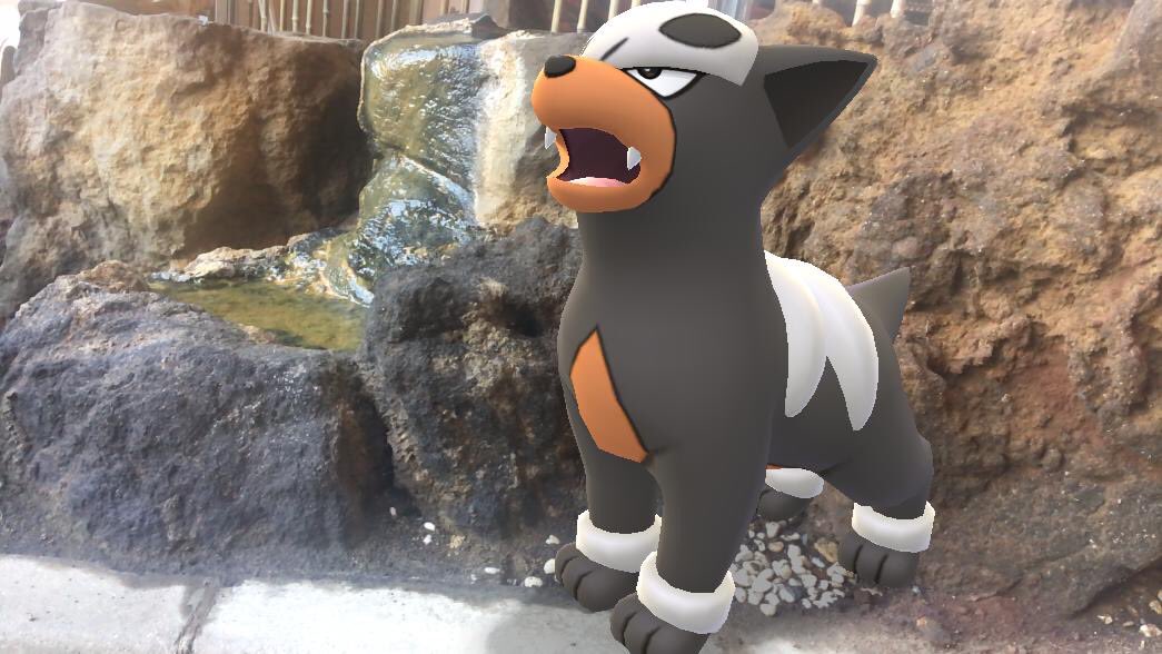 犬ポケモン 犬ポケモン
