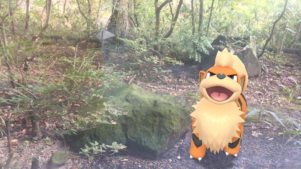 犬ポケモン 犬ポケモン