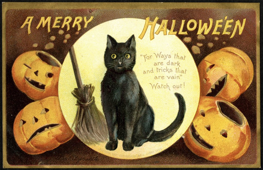 ArkhangeL's tweet photo. #Halloween is as simple as this. What’s complicated is what lies ahead inside our minds. #DLPHalloween #PoetryHorror #HalloweenIsEveryDay #Horror #DarkLovePoets #AutumnOfHorror #LoveMicroHorror https://t.co/MBZba27UAz