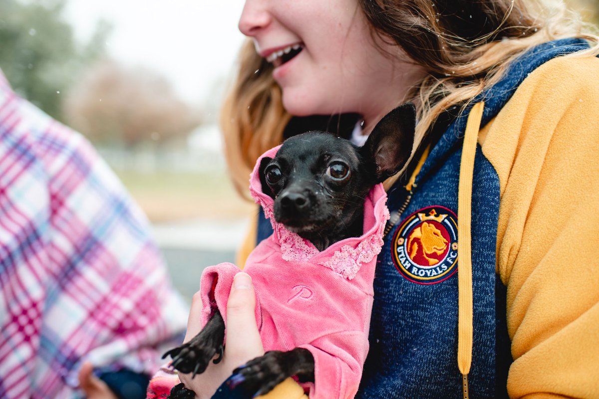 RSLcommunity's tweet photo. Graduates from the @UtahRoyalsFC @GoalsForGirls Leadership Summit out volunteering with Street Dawg Crew to provide food and clothing for homeless pets and their owners in SLC. Great to see amazing young leaders having an impact in our community! #MakeWay19 https://t.co/sp1WZfNhix