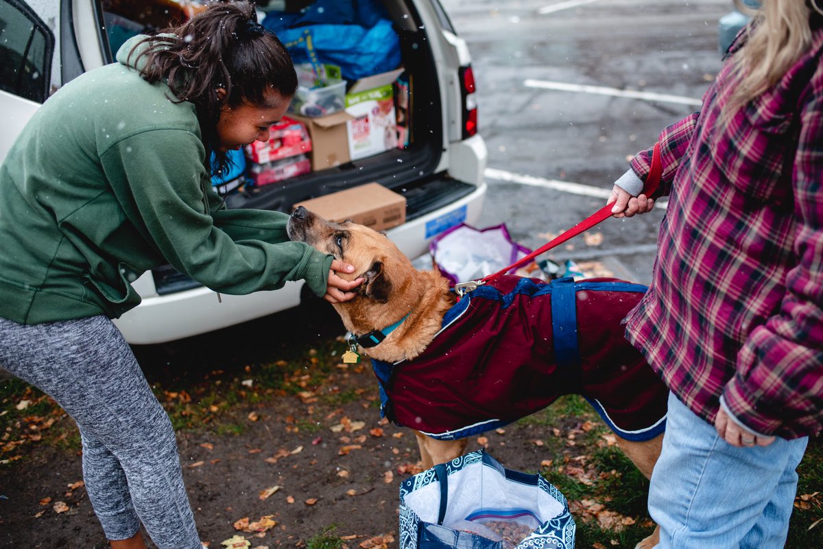RSLcommunity's tweet photo. Graduates from the @UtahRoyalsFC @GoalsForGirls Leadership Summit out volunteering with Street Dawg Crew to provide food and clothing for homeless pets and their owners in SLC. Great to see amazing young leaders having an impact in our community! #MakeWay19 https://t.co/sp1WZfNhix