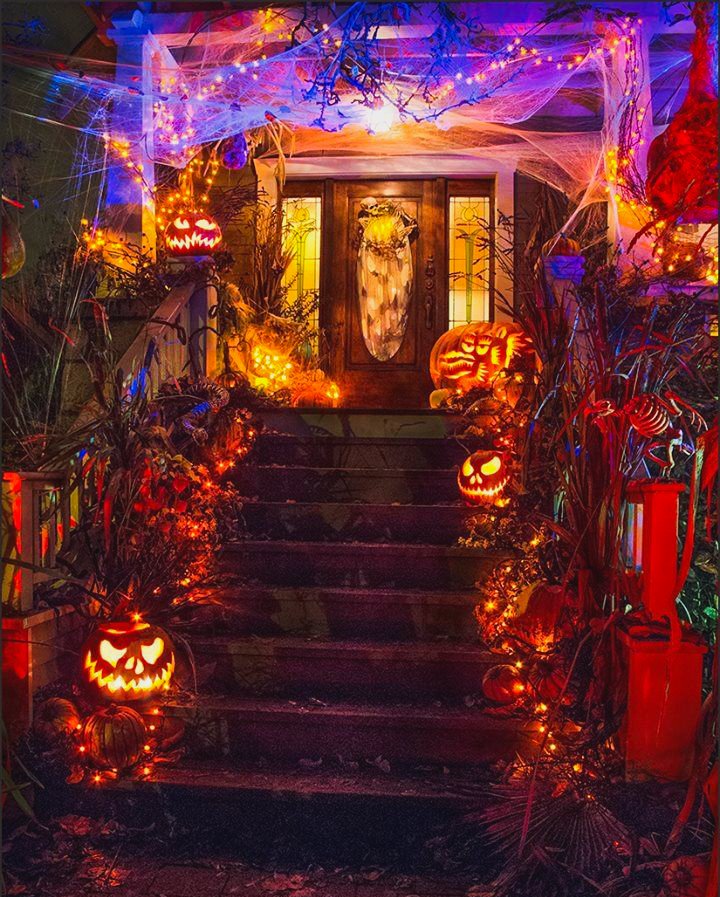 _VladRavenel's tweet photo. 🕸️🎃 

Happy Halloween. https://t.co/l4aFjNQGEp