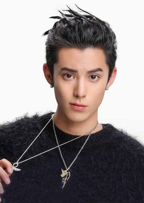 12. Dylan Wang (王鹤棣, Wáng Hè Dì)M.Y. EntertainmentDecember 20, 1998183cmfave features: face,speaking voice, body & overall adorableness uwu