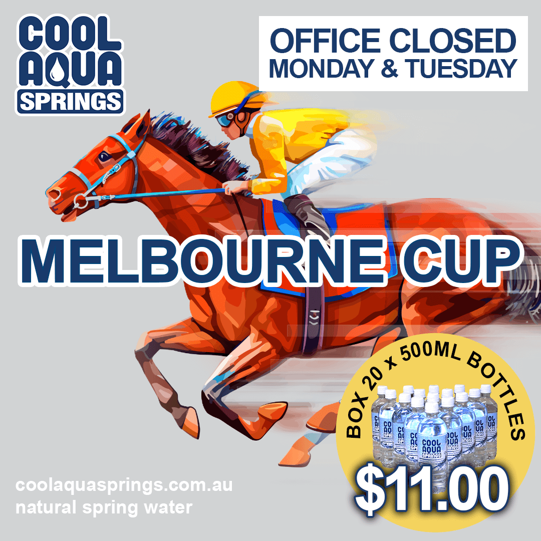 coolaquasprings's tweet image. We are closed on Monday and Tuesday for the Melbourne Cup. Don't forget to order a slab of 500ml bottles natural spring water to enjoy on Melbourne Cup Day! We sell 20 bottles for only $11.00!  

coolaquasprings.com.au
#MelbourneCup #BottledSpringWater #CoolAquaSprings