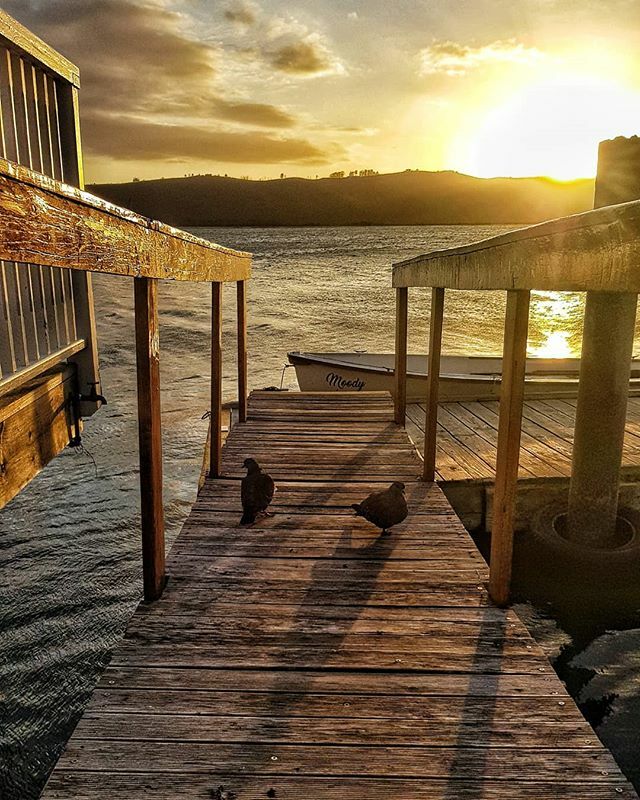 gotravelbug's tweet photo. Such a beautiful evening last night...
#sunset #sky_brilliance #skypainter #cloudious #adventure #lovewherewelive #visualstoryteller #dametraveller #exploretocreate #traveltoexplore #TravelChatSA #travelmoments #mygardenroute #boatinglife #yachtclub #kny… https://t.co/z1vZzIREis https://t.co/kTJjKDpshE