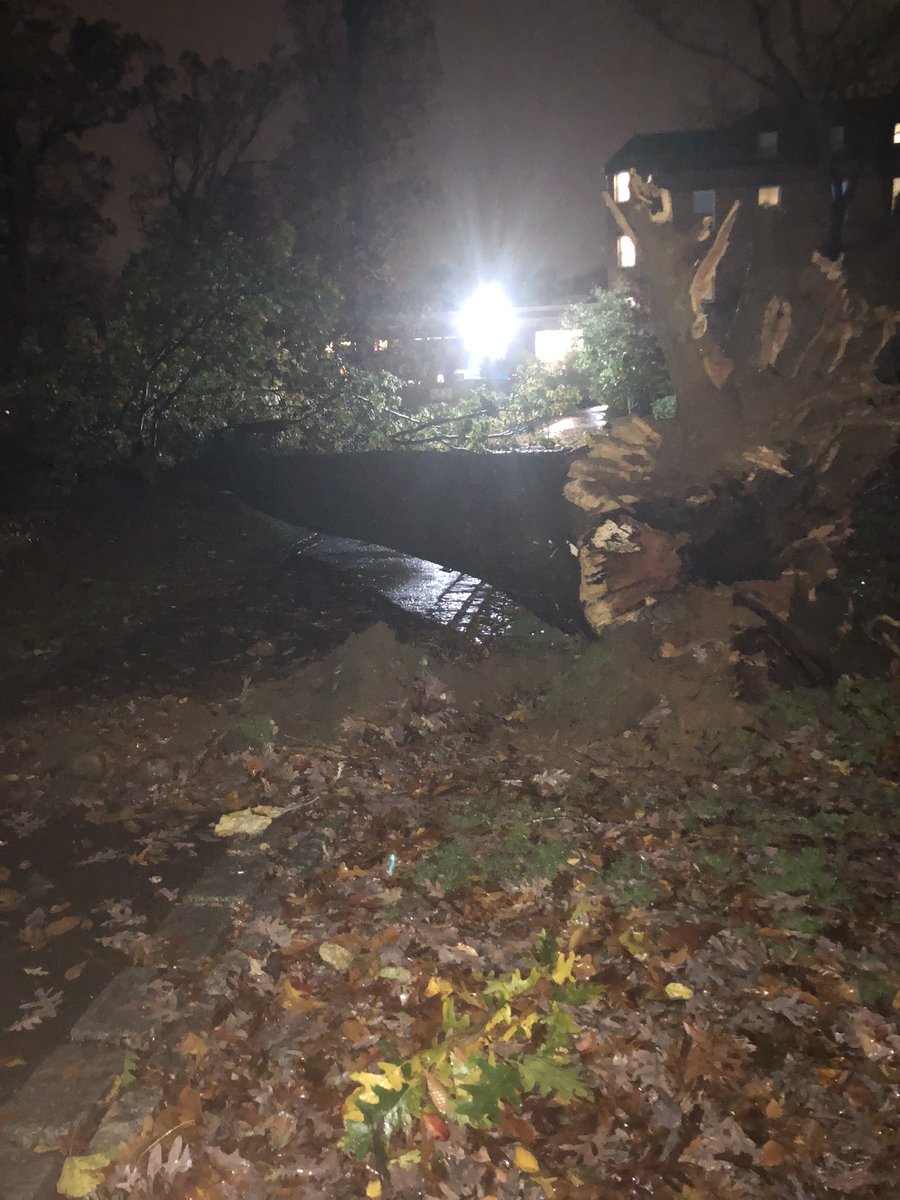 DrewAcorn's tweet photo. Several large trees are down around campus after strong wind gusts. Be careful when walking on the paths, and watch for downed power lines. https://t.co/nNH2xXjswr