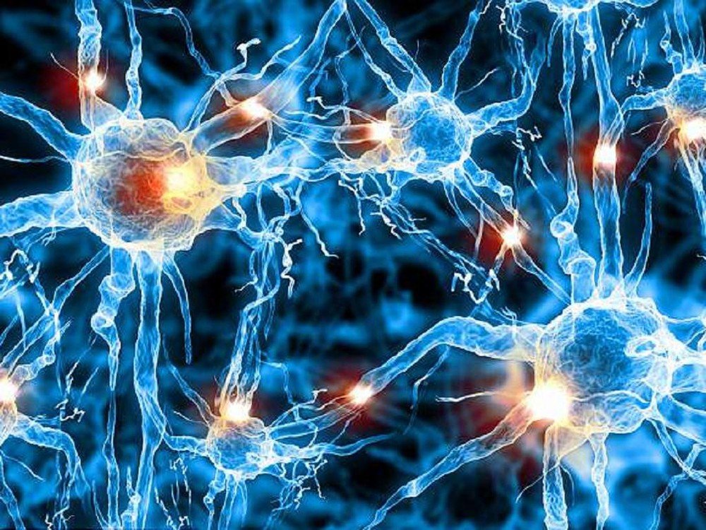JakePre52165680's tweet photo. #NeuroscienceandMentalDisorders2020

#Book your #slot on or before 04 November 2019 to avail #earlybirdregistration

To register: https://t.co/KZXl7fuRAM

#eventbriteneuroscience #neuralcomputation #neuroscienceconference2019 #neuroscienceorganisations #neurologyconference2019 https://t.co/M86Yczw5I6