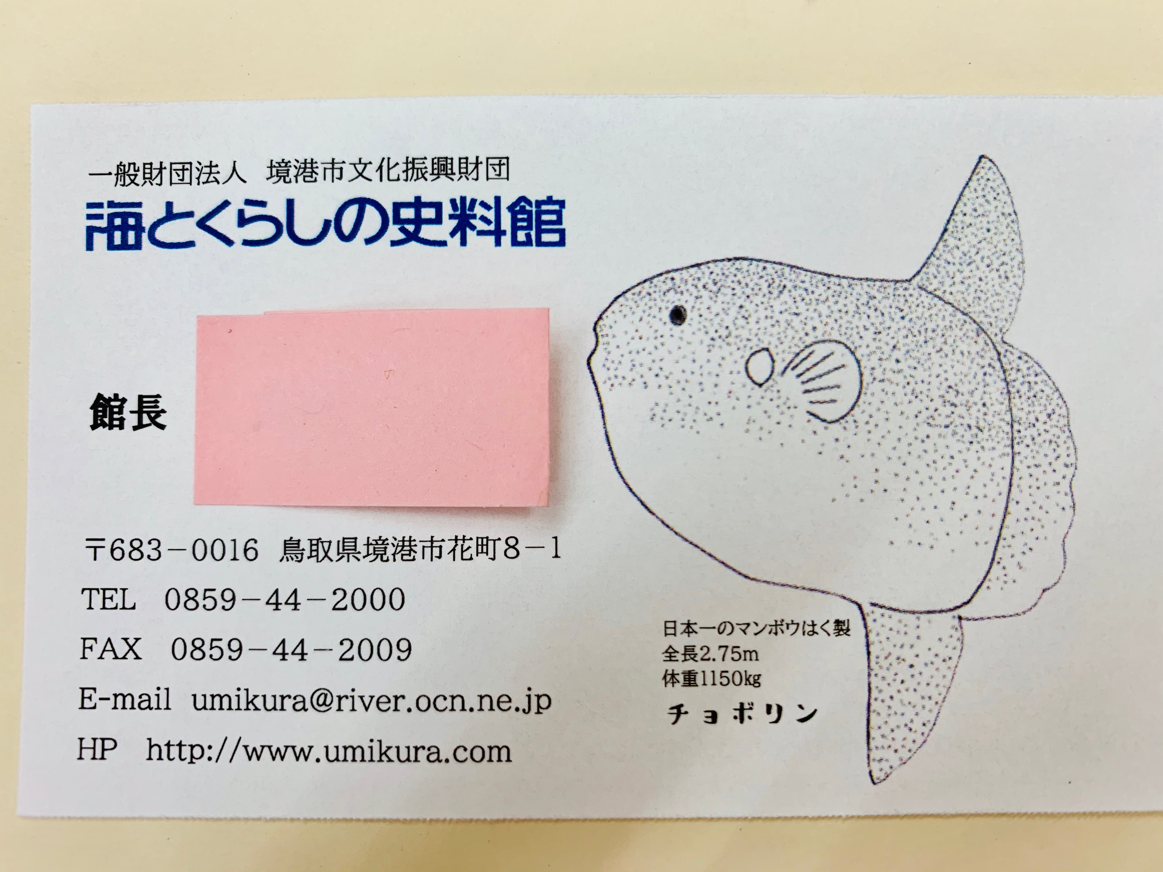 Tweets With Replies By 境港水産物直売センター 公式 Sanmakidirect Twitter