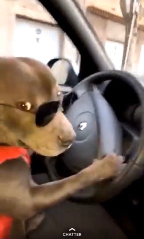 insuIting's tweet photo. me looking at my friends after i just hit tf outta some curb https://t.co/g3OxWZ7Vn3