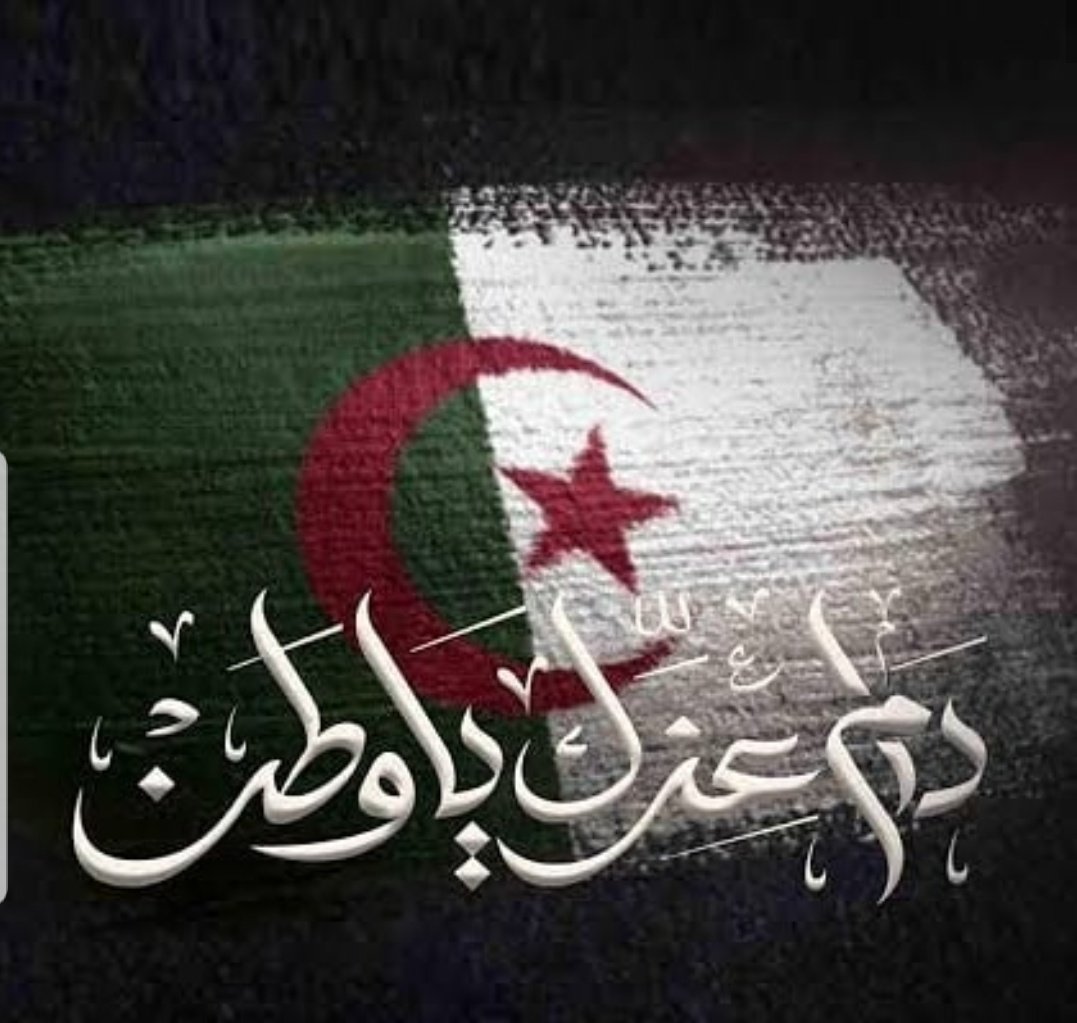 Ania El Afandi آنيا On Twitter ثورة نوفمبر دام عزك يا وطني