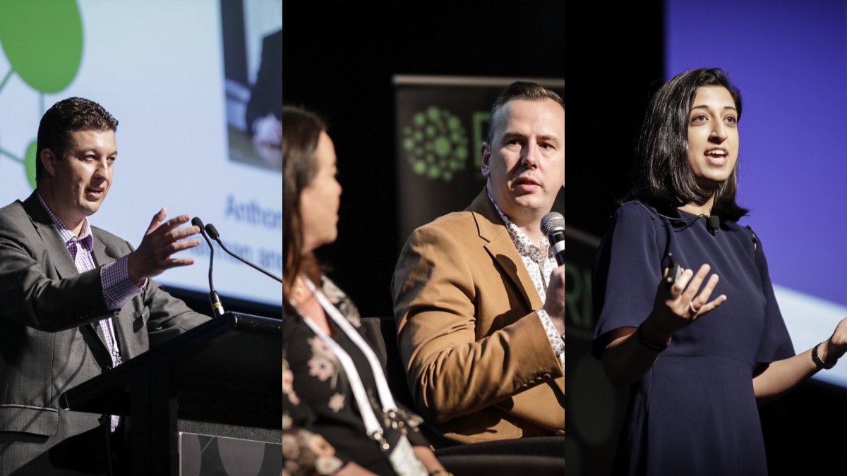 RMIA_AU's tweet photo. With less than two weeks to go, it's your last chance to snap up your 2019 RMIA Annual Conference ticket! Get your ticket before it's too late here: https://t.co/PdIZnMf26J Look over our conference program here: https://t.co/eZgSgIfCGR
#RMIA #conference #grandhyatt #innovation https://t.co/DbH1QgKyEp