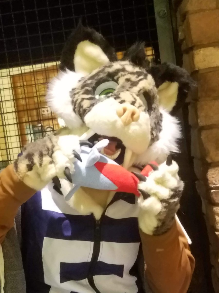 evertooth's tweet photo. Happy Halloween!!!
I barely got Saber done but i did! Hes a beast quirk UA student c:
#fursuit #sabertooth #halloweencostume #UAoc #UAStudent #MHA https://t.co/lRVDnFxEEd