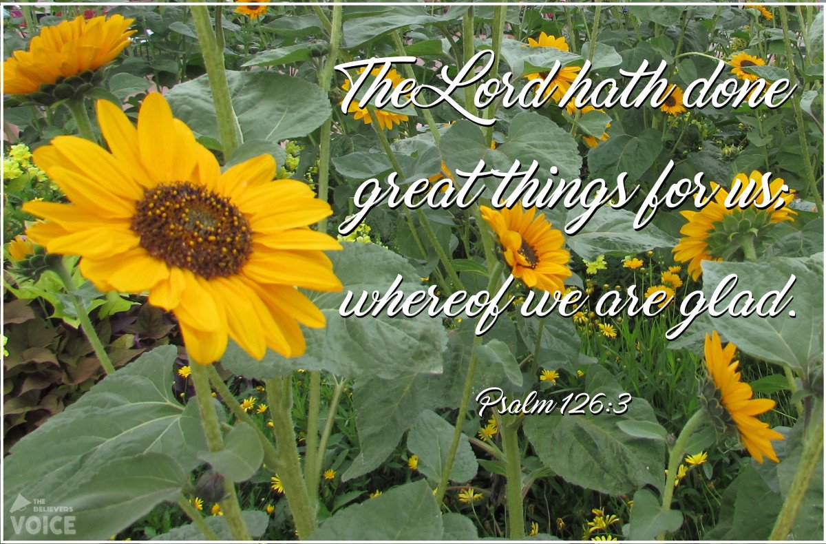 The Lord Hath Done Great Things For Us!  @chosenbyloved <a href="/simple0servant/">Harry</a> <a href="/gary_rio/">Gary</a> @dccwrites <a href="/thompsonb2569/">Sword⚔️&Torch🔦of God🤺🛡️📖🩺🏥</a> @believer037 @breyn2000 @arsborg @jessiejaneduff @sharonepack @godswordisfree <a href="/marshahorn66/">Marsha Horn</a> <a href="/alisawoodard6/">Lovable Lisa</a> @angelar23572632 @kghspeaks