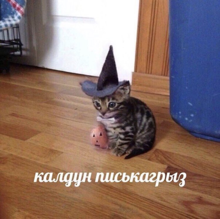 _Loki4ever's tweet photo. @Patrickterno https://t.co/aMd2nFMY9R