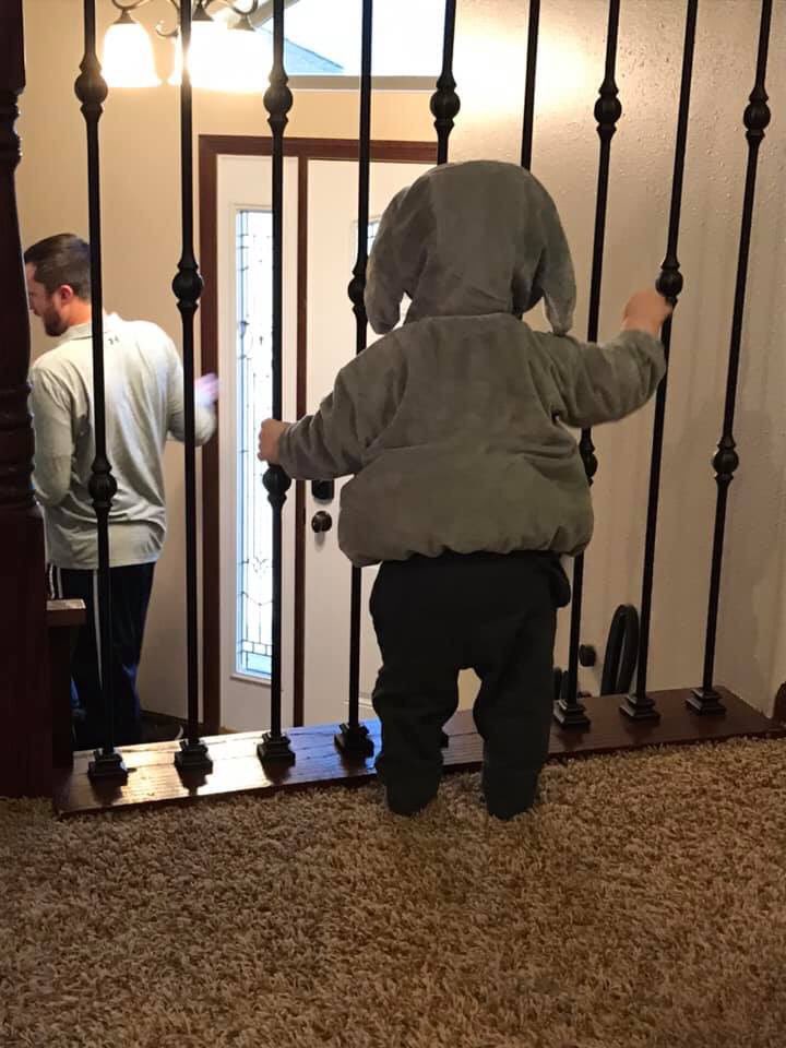 Happy Halloween! It’s this little elephants first Halloween!