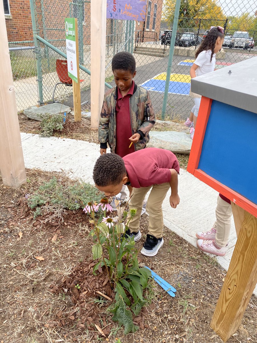 WhittierECSTEM's tweet photo. @OutTeachEd_NCR what better way for our students to explore living and nonliving things than in our outdoor classroom.#stemulating @PrincipalTeaJay https://t.co/l2yjk1a3DL