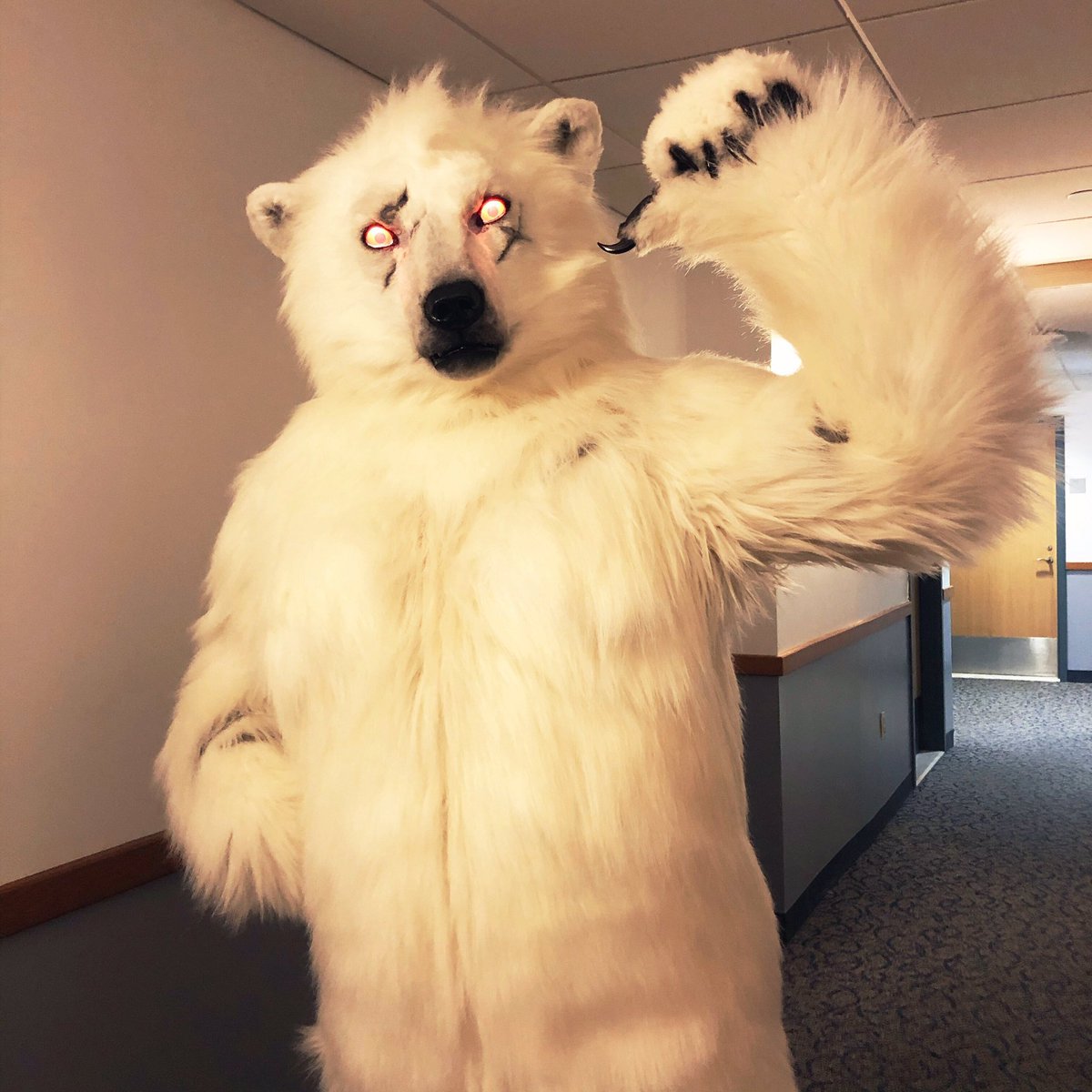 BorasBear's tweet photo. Not all the polar bears are as intimidating as this one.... or as artistic as this one!🎶🎵
#HappyHalloween a bit advanced #FursuitFriday https://t.co/JuznsCKKfA