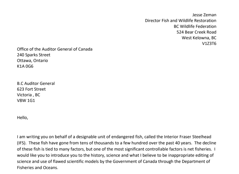 JZThinAir's tweet photo. Last week I submitted a request to @BCAuditorGen & @OAG_BVG to investigate use of unsound models by #DFO, and editing & suppression of #peerreviewed #scientific #CSAS document used in #SARA process for listing of #endangered #IFS #steelhead. #muzzlingscience alive and well in 🇨🇦 https://t.co/DCCIsYuSsG