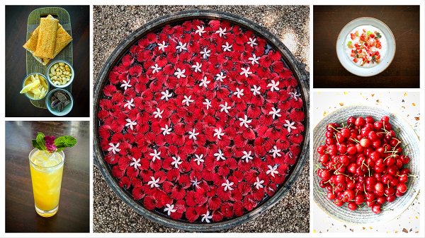 DOSA Opens New Delivery-Only Locations - mailchi.mp/dosasf/join-ou…