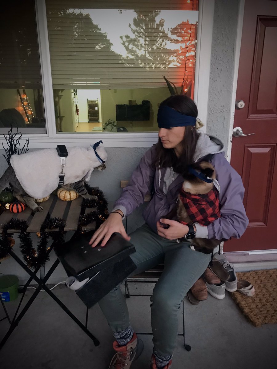 CoachNMarlowe's tweet photo. H💀PP👻 H💀LL😈W🎃🎃N

Role of Boy: Gucci 😸
Role of Girl: Louie 😼

#BirdBox #Halloween https://t.co/554b4WI5NX
