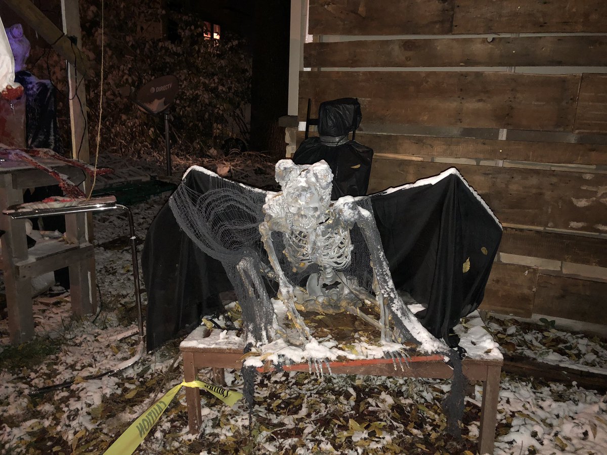 Fritz’s Haunting 2019. It was very cold but we still had 283 brave kids come out.