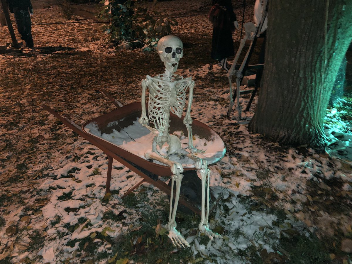 Susan Fritz (@susandfritz) on Twitter photo 