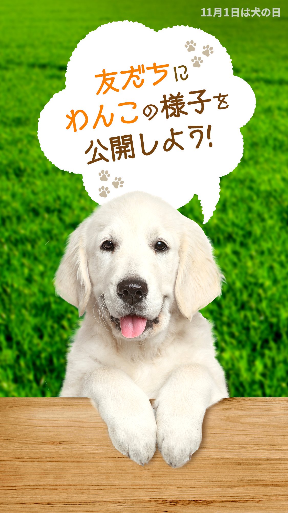 Line Voom 今日は 犬の日 Lineストーリーでとっておきのワンコ動画を投稿しよう 寒くなってきたこの季節 可愛いワンちゃんの動画でほっこりしよう 犬の日イベントはこちら T Co Fwyvc8deuu Lineストーリー Lineタイムライン