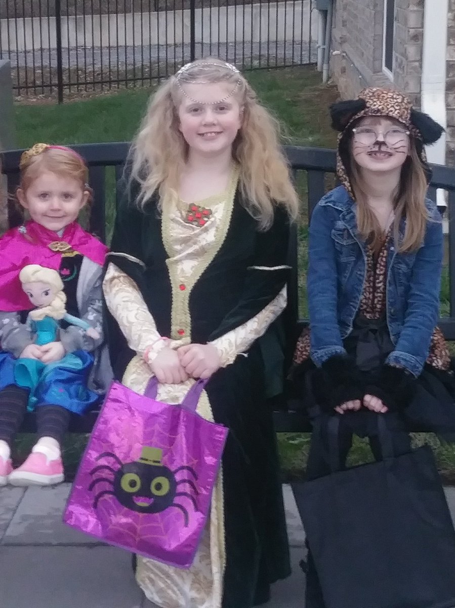 Sassy cat, Eleanor of Acquitaine, and their baby cousin Anna.
We have approx. 57 lbs. of candy in our house now.