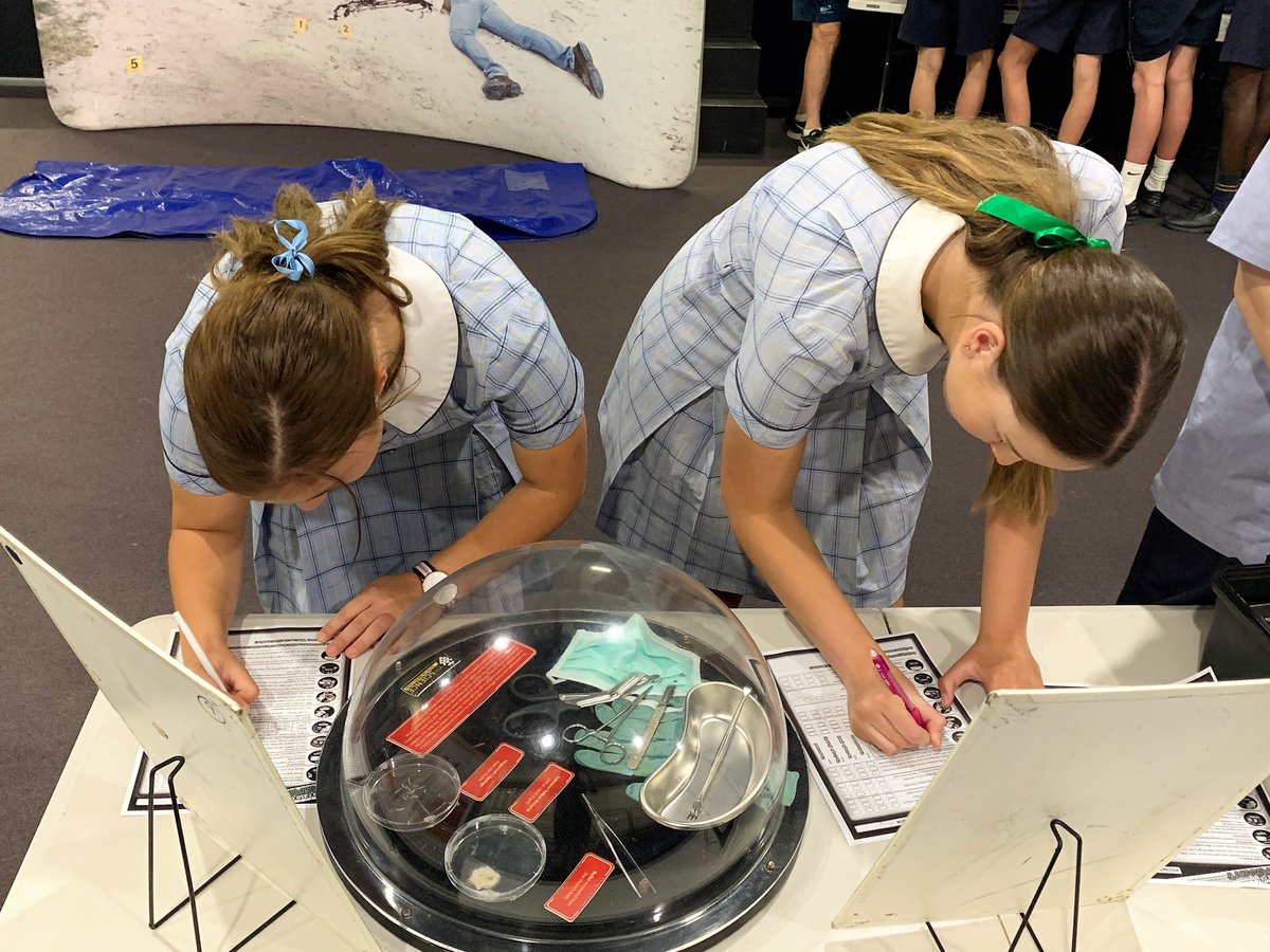 Mater Dei Wagga tweet media
