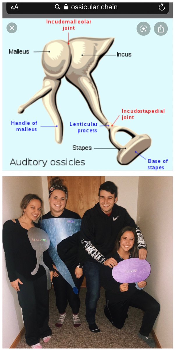 BengeMadison's tweet photo. Good choices only from this ossicular chain on Halloween night, Auntie Julie! @WIUSPA @monibozi1 @madfoxxxx &amp; Colton (the other half to my stapes) https://t.co/ALlyrm6PTD