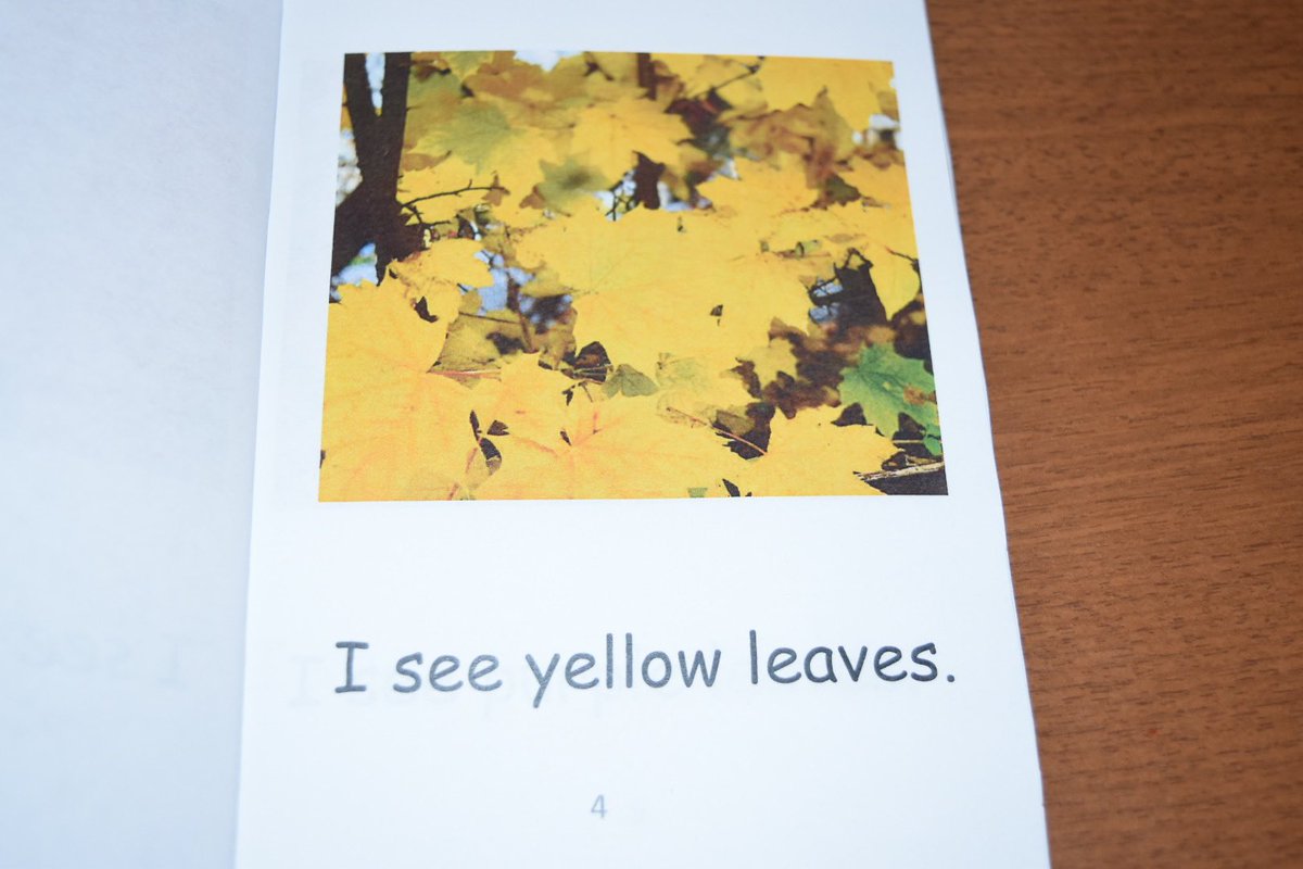 eslschoolhouse's tweet photo. Check out my new #Autumn book! 🍁 https://t.co/uJlHYVlpDv
.
#teacher #kidsbooks #kidslit #sightwords #eslteacher #esl #preschoolbook #Kindergarten https://t.co/oWP8xsIKUE