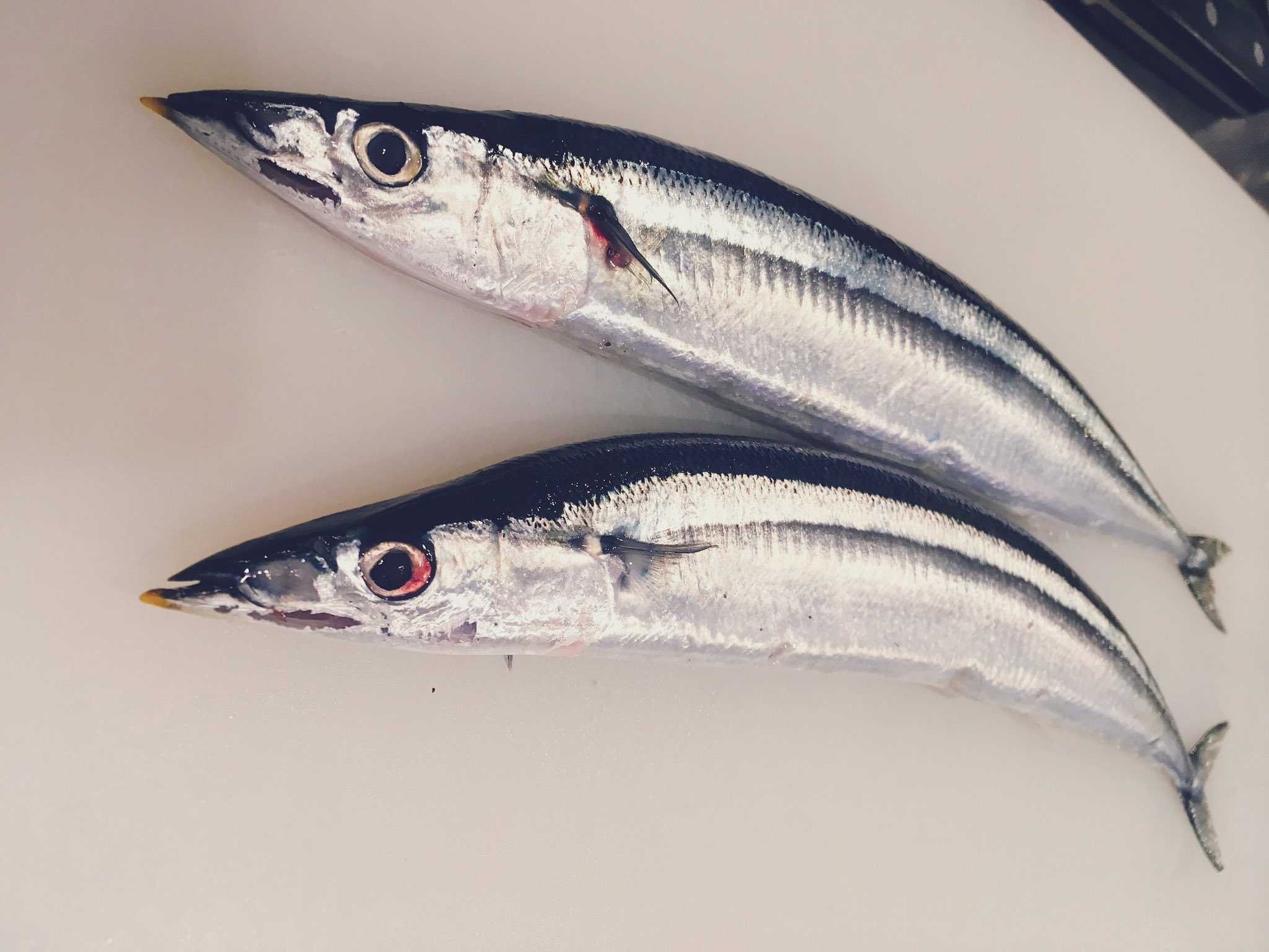 武蔵小山ランチ Twitter Search Twitter