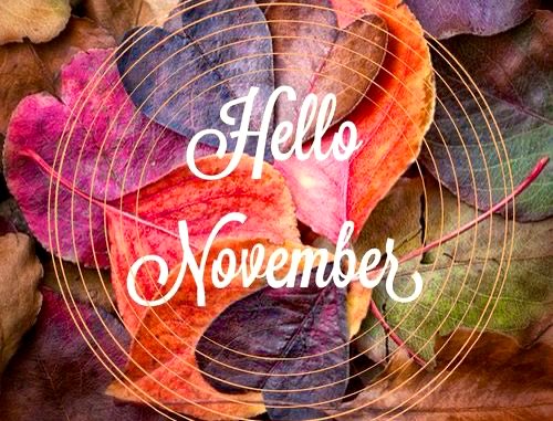 suziday123's tweet photo. Friday Friendly Reminder.. Hello November 🙌🍂🧡🍁💜🍂 💗#November1st #FridayFeeling #HelloNovember https://t.co/S1gk7g5rz9