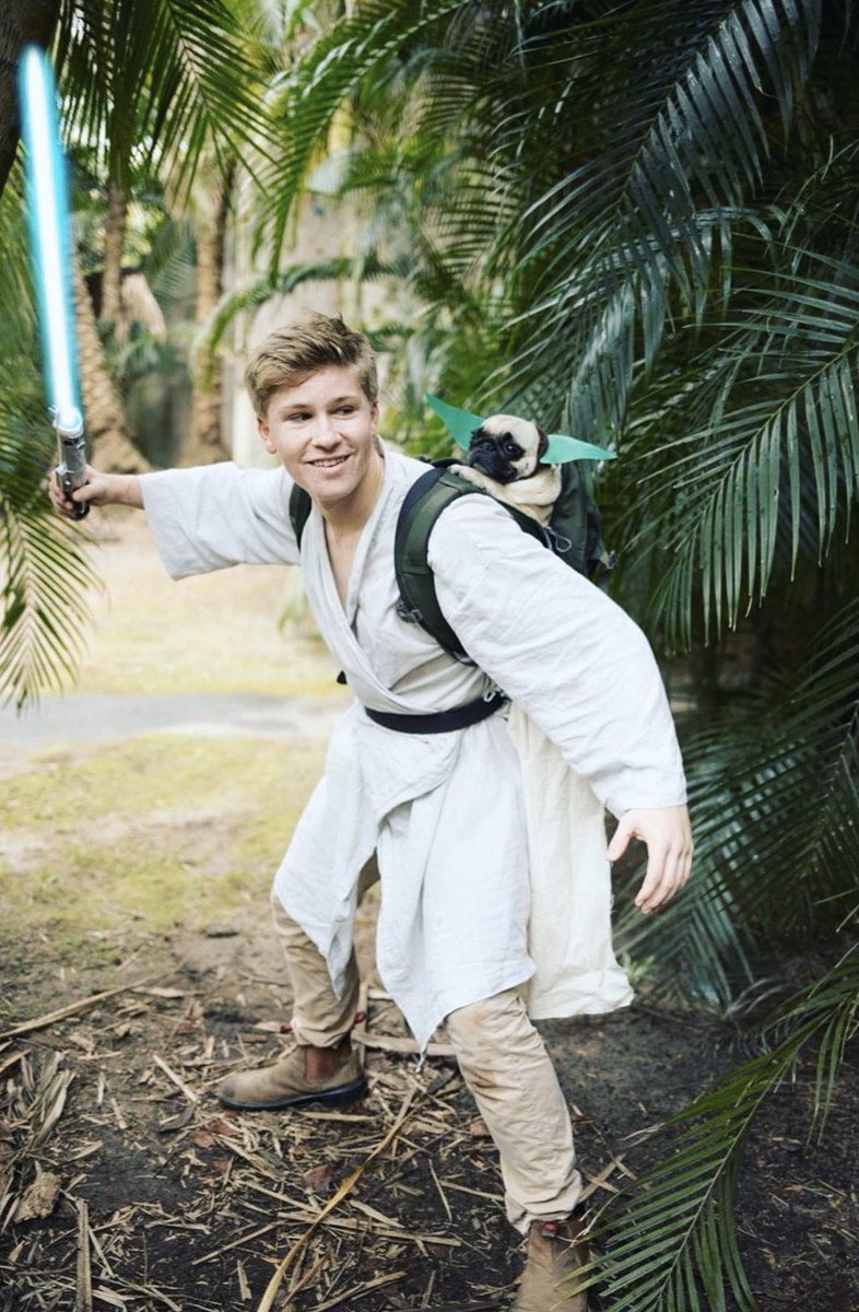 RobertIrwin's tweet image. May the force be with you all this #Halloween...