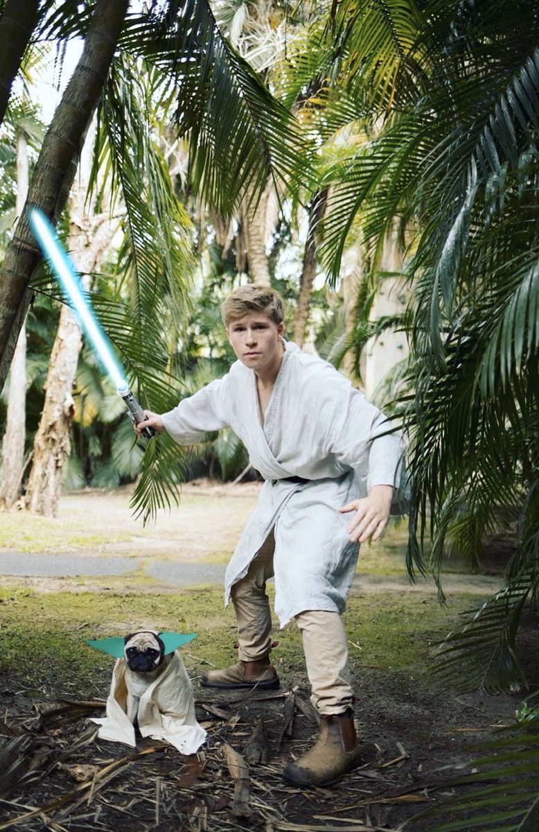 RobertIrwin's tweet image. May the force be with you all this #Halloween...
