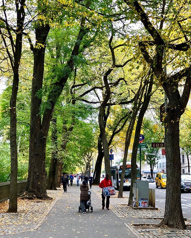 nickaIew's tweet photo. 🍃🍃🍃
.
.
.
.
.
.
.
.
#centralpark #fall #autumn #autumnvibes #autumncolors #autumnleaves #newyork #newyorkcity #cityscape #cityphotography #streetphotography

📸 https://t.co/PfMnhn5NLK via https://t.co/93n14rG0HB https://t.co/1nkBxuTLid
