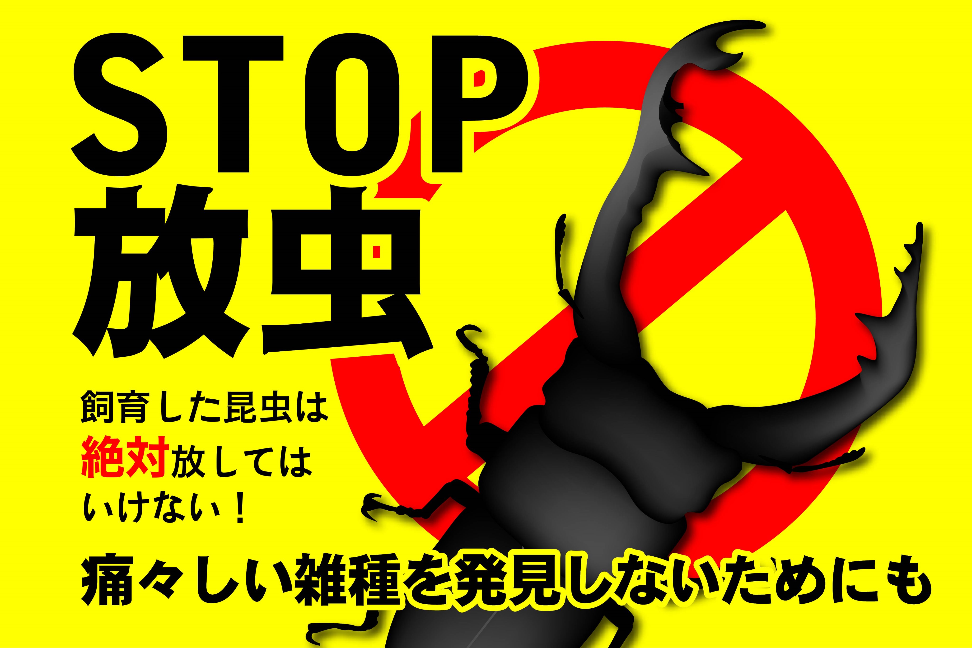 クワガタ将軍伝ｚ 環境省は外国産マルバネクワガタを特定外来生物の指定をしました T Co Tzssbfl7wy 特定外来生物の指定されると飼育 繁殖 譲り渡し 輸入 販売などが禁止になります 外国産クワカブの 飼育禁止にしないためにも ｓｔｏｐ放虫