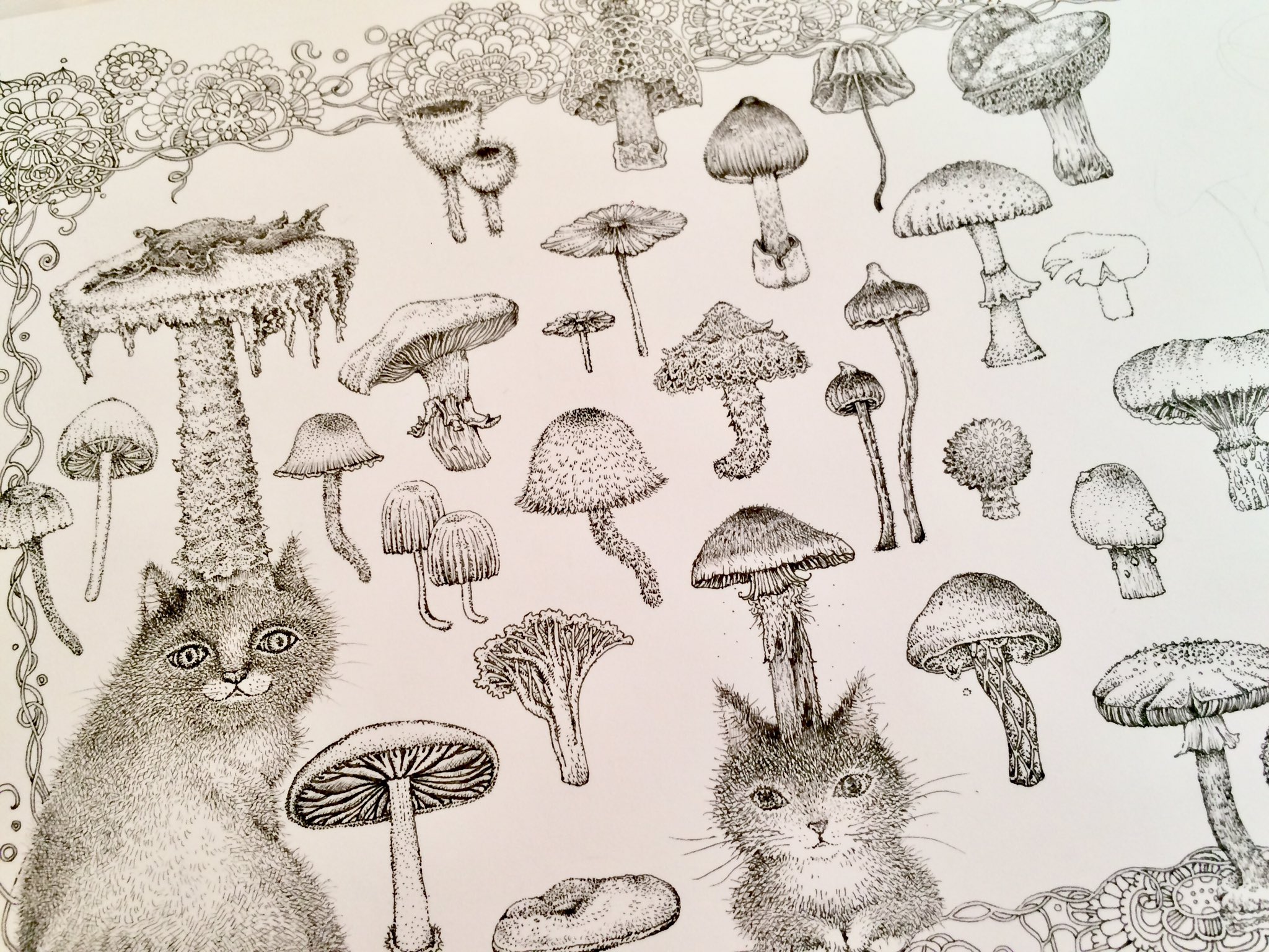 クラミサヨ・イラストレーター・ペン画 on X: 
