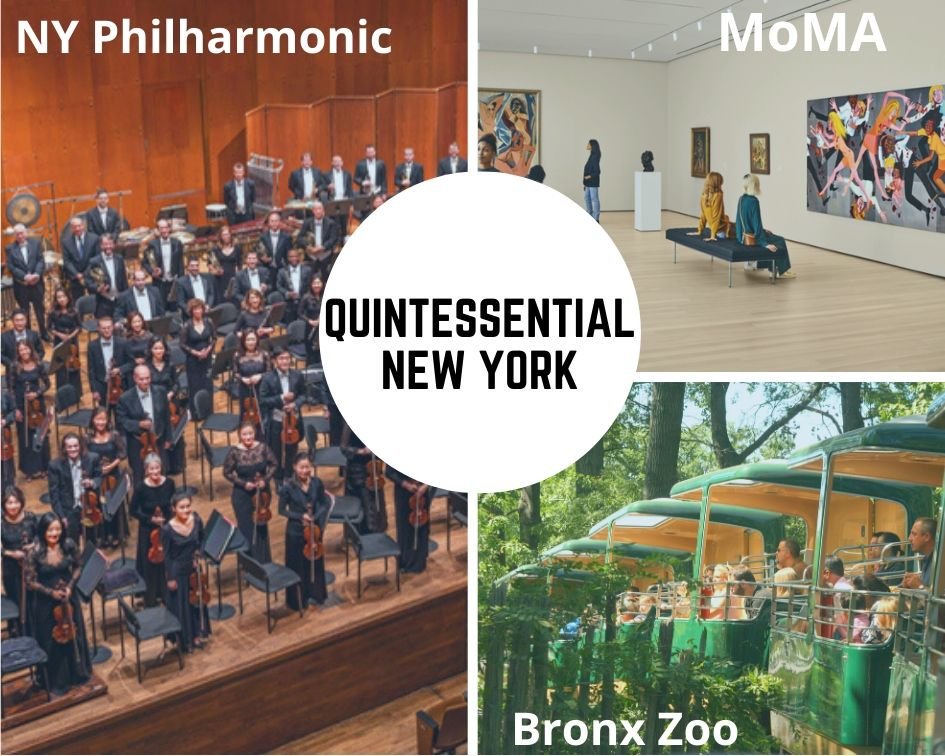 Impact_Network's tweet photo. Come to our #ChefsForImpact event on 11/5 to bid on quintessential New York experiences at Bronx Zoo, MOMA,  the New York Philharmonic Orchestra! A million thanks to @TheWCS, @MuseumModernArt and @nyphil for donating to our auction! #ThankfulThursday #bronxzoo #nyphilharmonic https://t.co/UJoV5W4t1u
