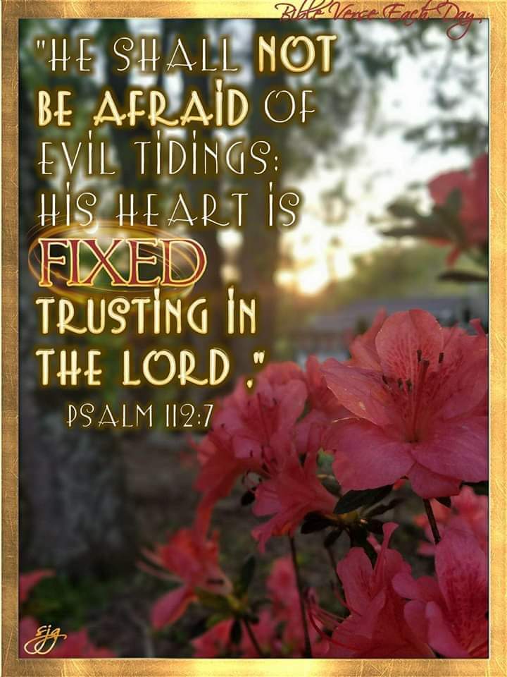 Bibleved7's tweet photo. Psalm 112:7~
"He shall not be afraid of evil tidings: his heart is fixed, trusting in the Lord."📖 #bible #bibleverse #God #Jesus #Christ #christian #photography #nature #creation #flowers #sunset #azaleas #heart #fixedheart #afraid #evil #trust #trustingtheLord #gospel #5solas https://t.co/ggITA5cfhY