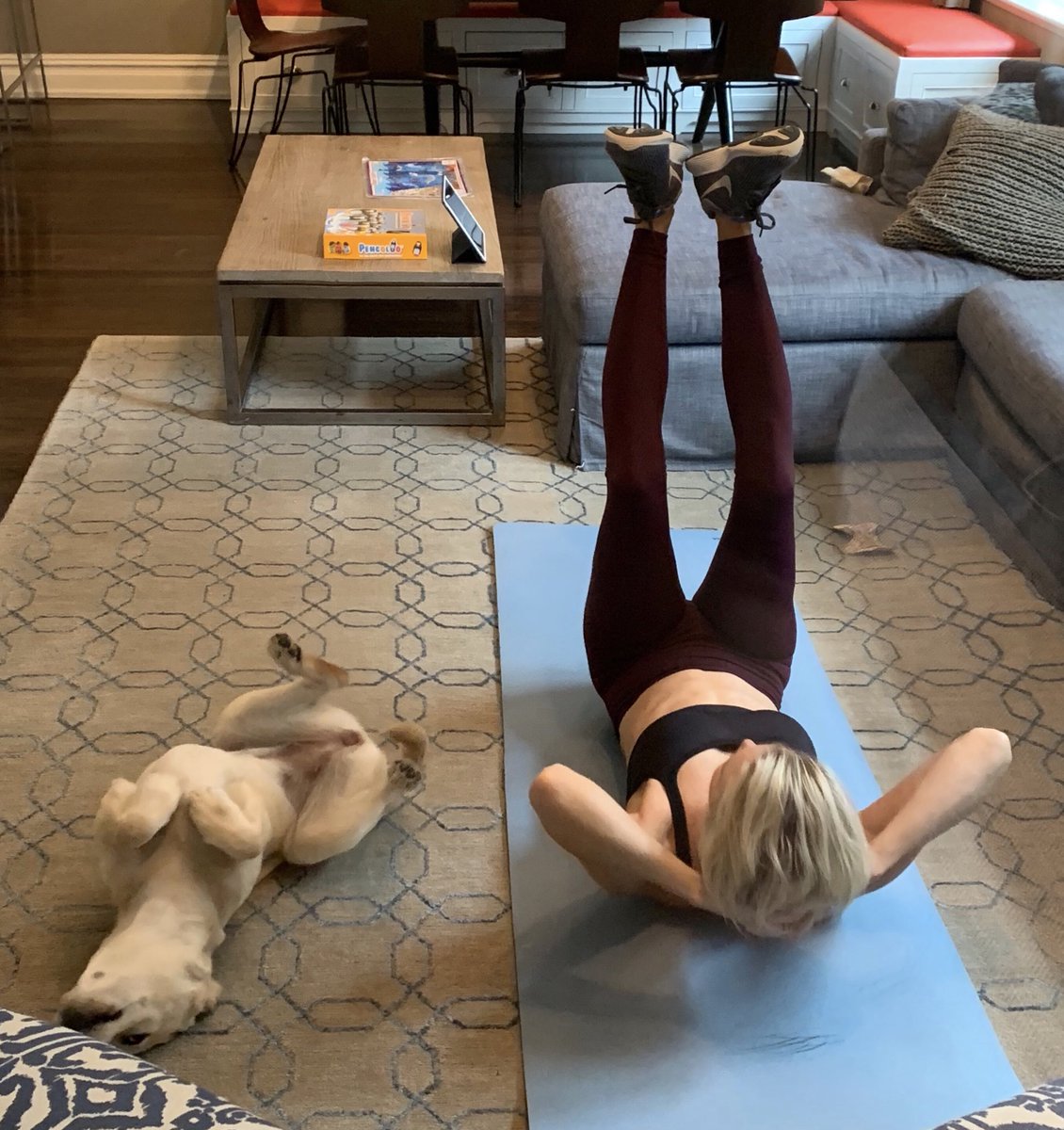 megynkelly's tweet photo. Sometimes (like today, before all the candy) I work out in my home. Would you look at this dog? #thunderstruck https://t.co/v1D1ojUhMs