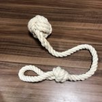 ワンコもこの表情!カーテンのタッセルとうさぎの人形を組み合わせた結果!
