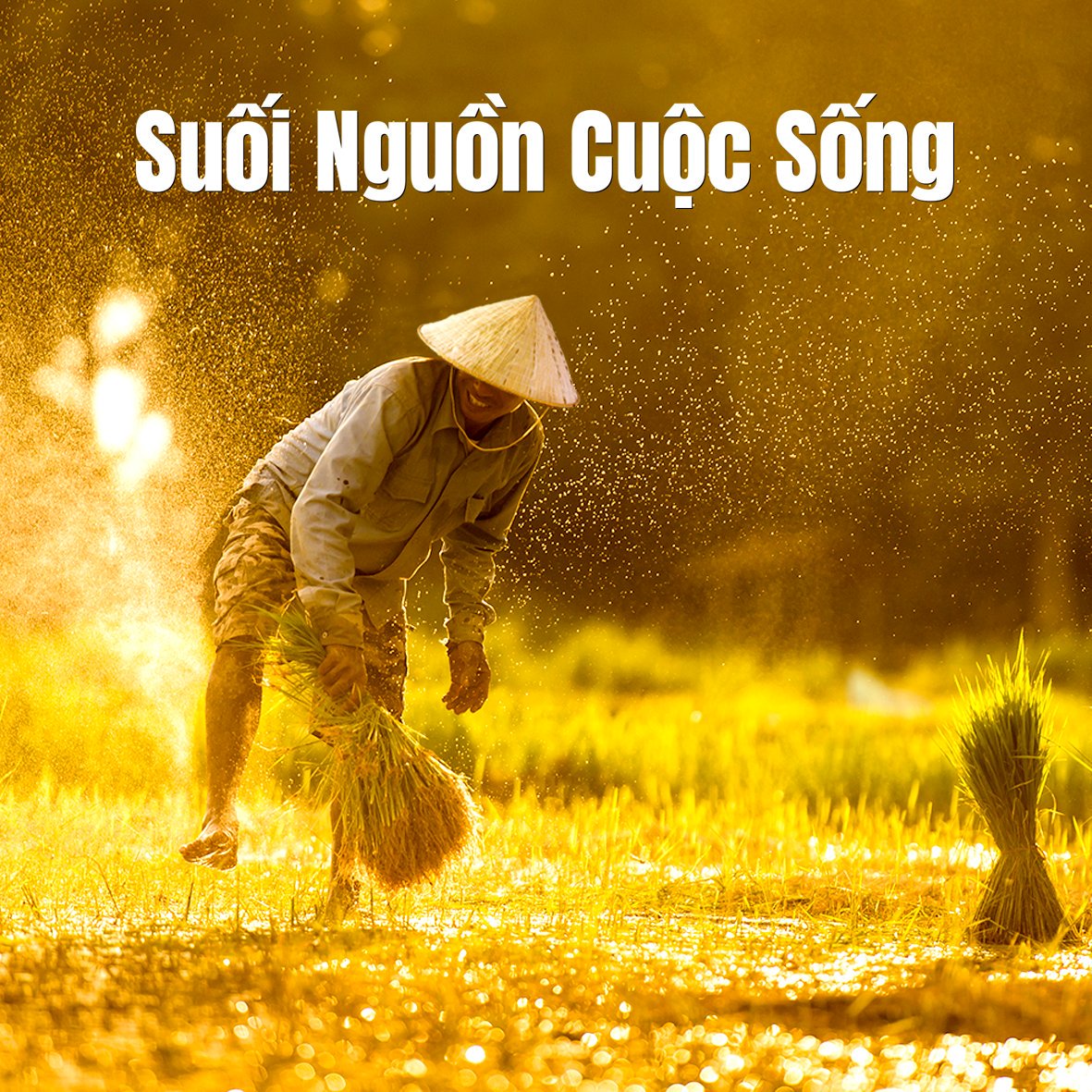 Biolla_vn's tweet photo. 💟 Biolla chào đón tháng 11 với những lời chúc tốt đẹp nhất đến với mọi người.

#Biolla #Tháng11

✅ Hotline: 18002038
✅ Web: https://t.co/r7A5HLSOID https://t.co/xdbWkMcrgQ